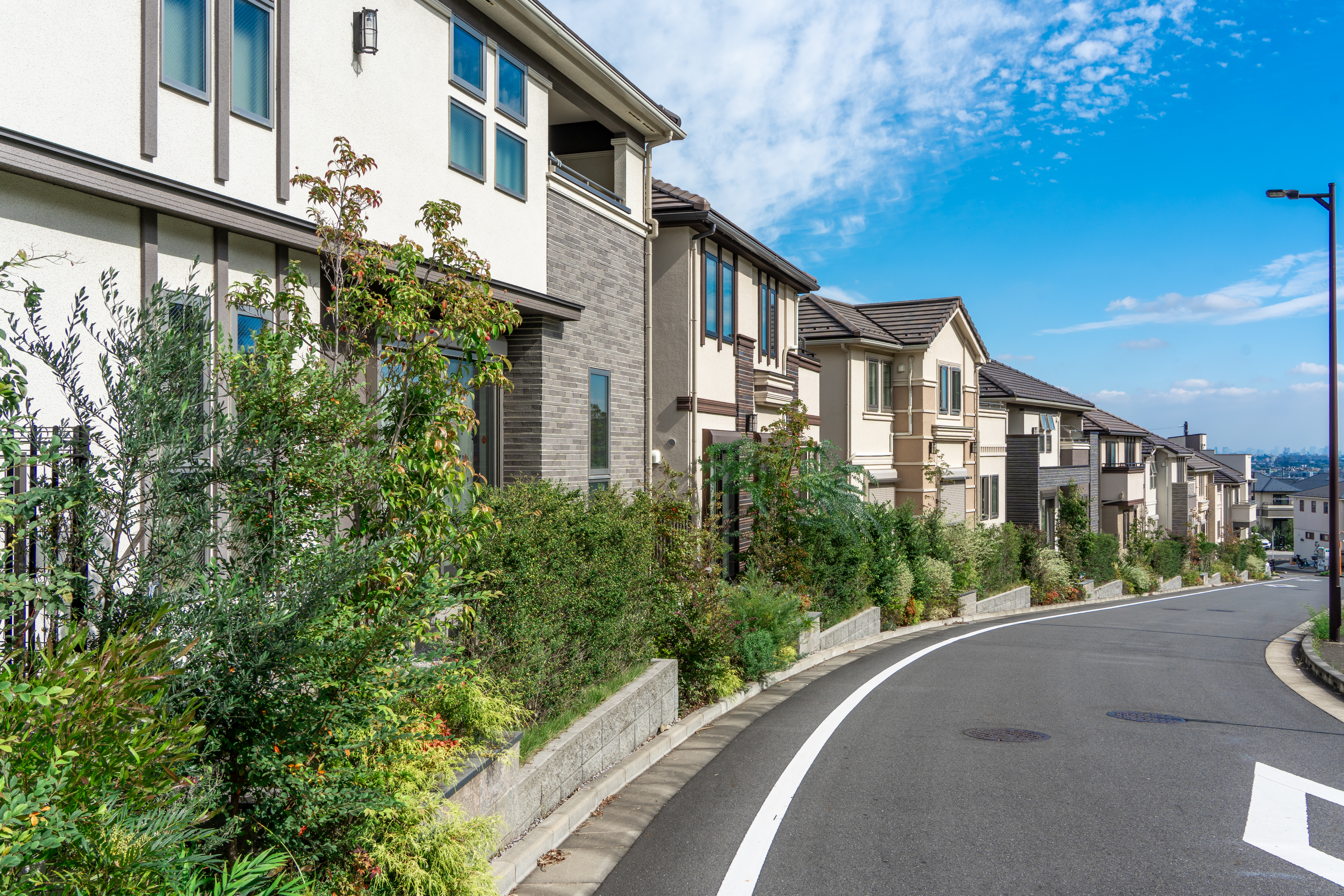 ビジョンイメージ